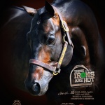 These Irons Are Hot March Ad